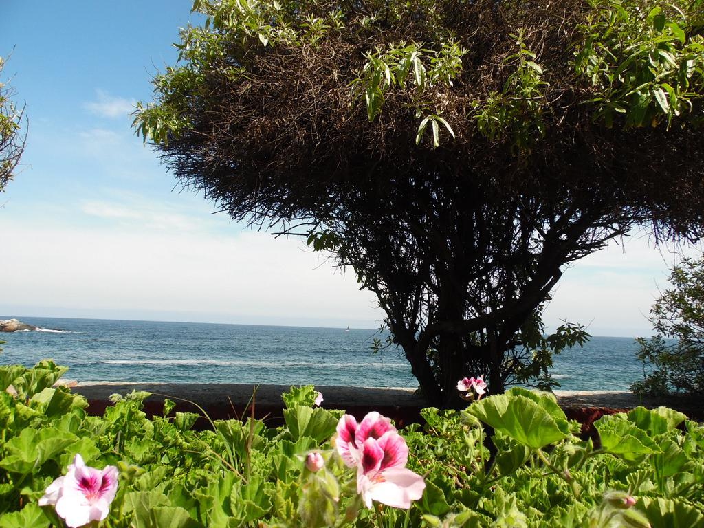 Hostal Tunquelen Valparaíso Kültér fotó